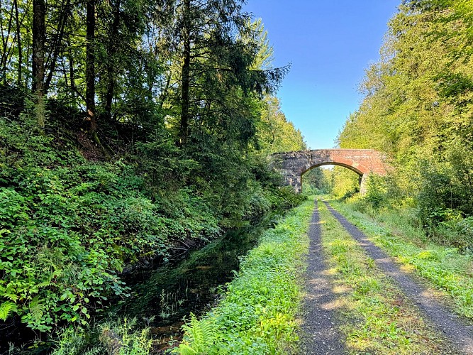 Libramont-pre-ravel©MTFSH-TEXTO_Pascal_Willems_(142)