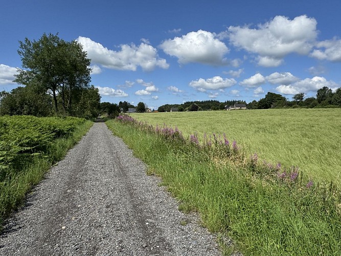 Pre-ravel-libramont©MTFSH-TEXTO_Pascal_Willems_(101)