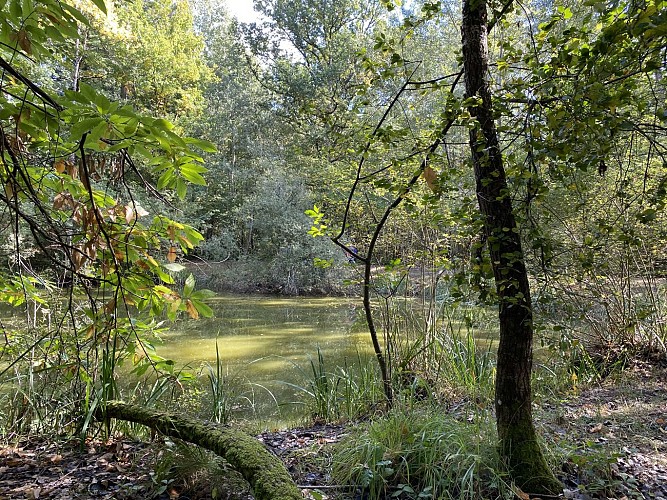 Pädagogischer Weg ENS der Bordes Chalonges
