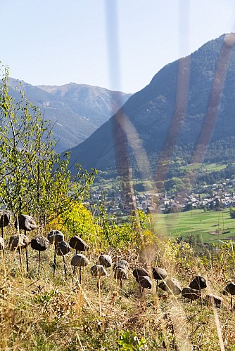 Il percorso artistico di Puy-Saint-André