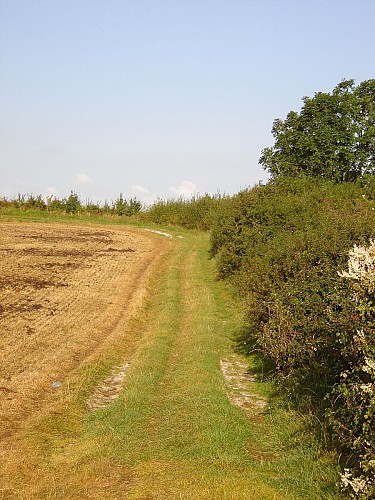 Sentier de la Motte Castrale