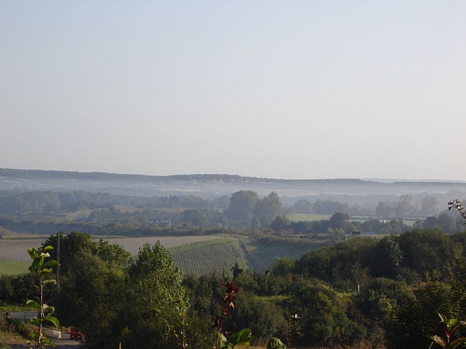 Sentier de la Motte Castrale