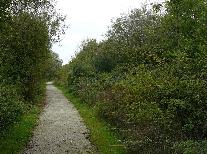 Sentier de La Glaisière de Nesles