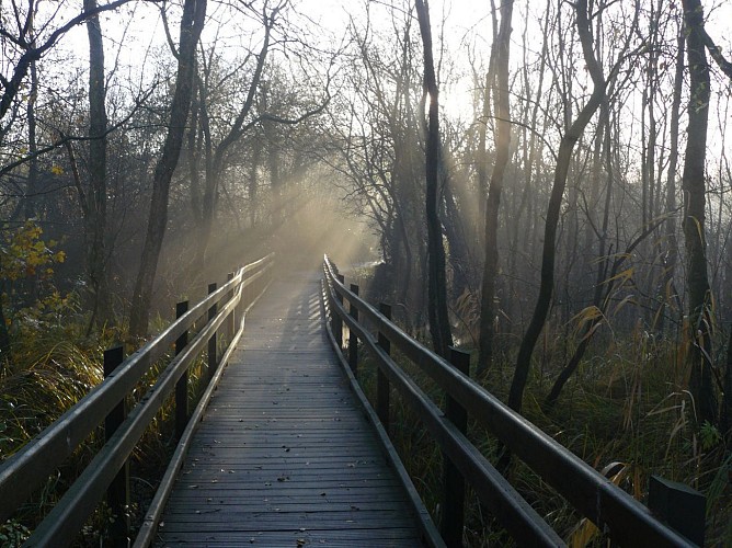 Sentier de La Glaisière de Nesles