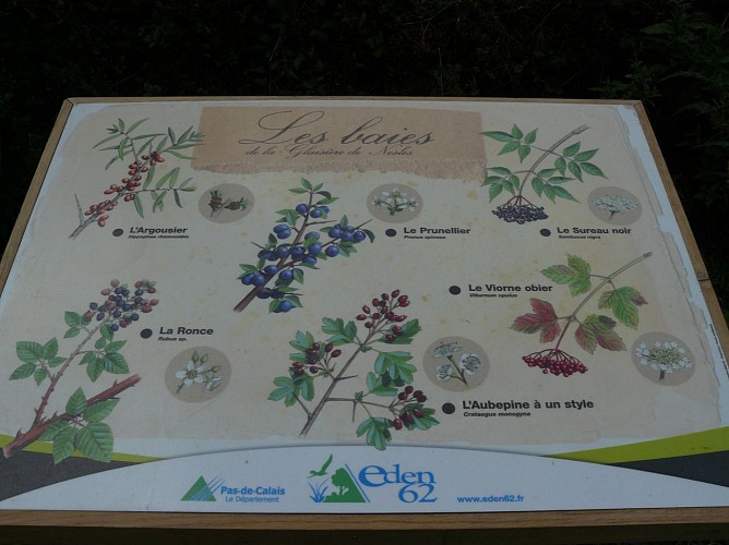 Sentier de La Glaisière de Nesles