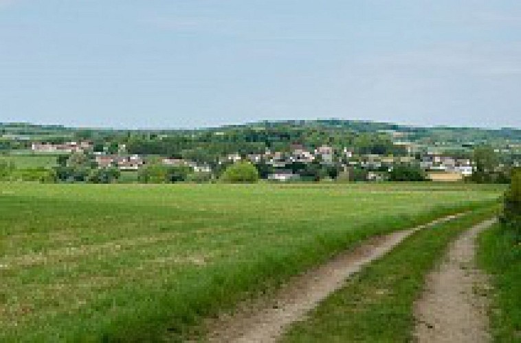 Sentier du Mont des Prêtres