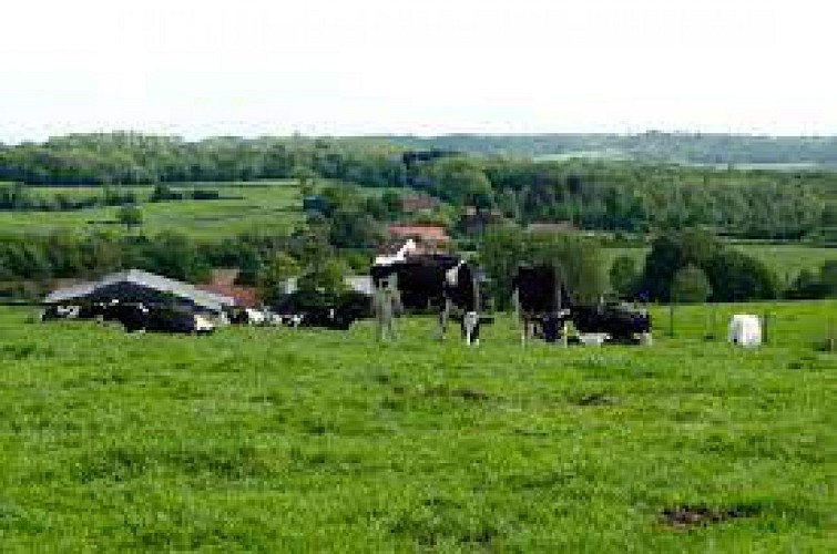 Sentier du Mont des Prêtres