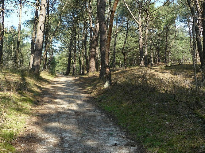 Sentier de La Pomme d'Or