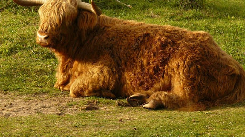 Sentier de La Pomme d'Or