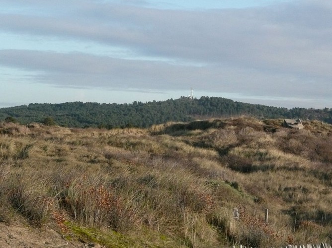Sentier du Mont-Saint-Frieux