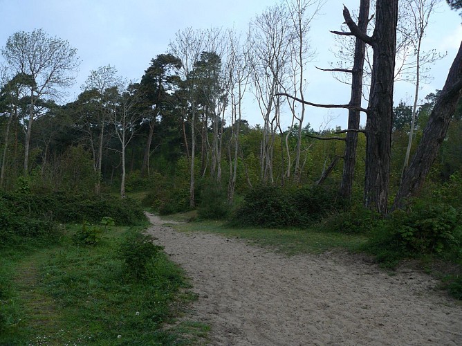Sentier du Mont-Saint-Frieux