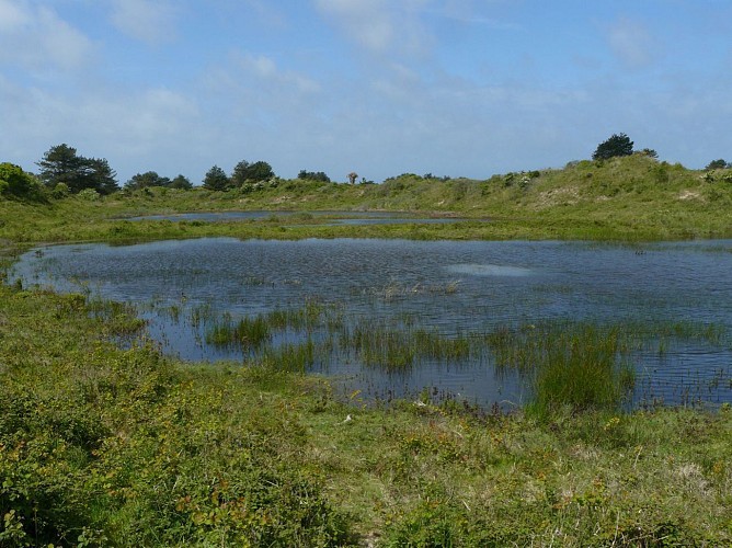 Sentier du Mont-Saint-Frieux