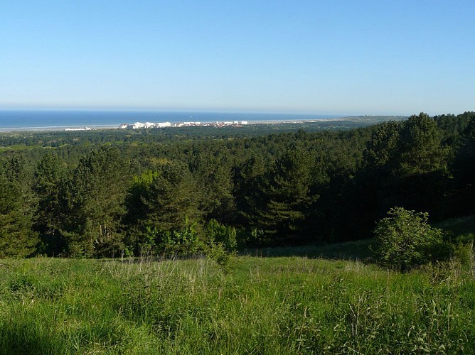 Sentier du Mont-Saint-Frieux