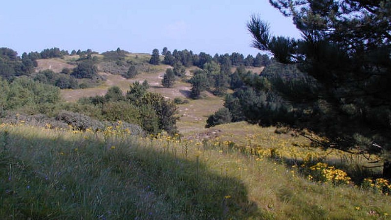 Sentier du Mont-Saint-Frieux