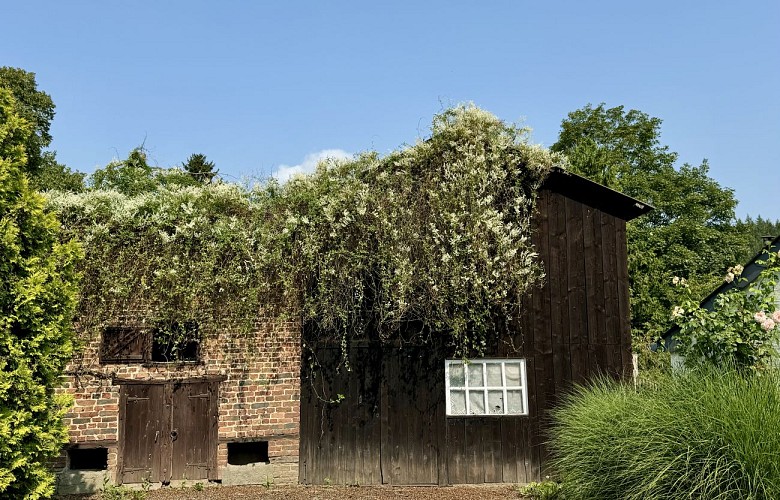 Circuit_des_sabotiers_©_MFSH_TEXTO_Pascal_Willems_(9)