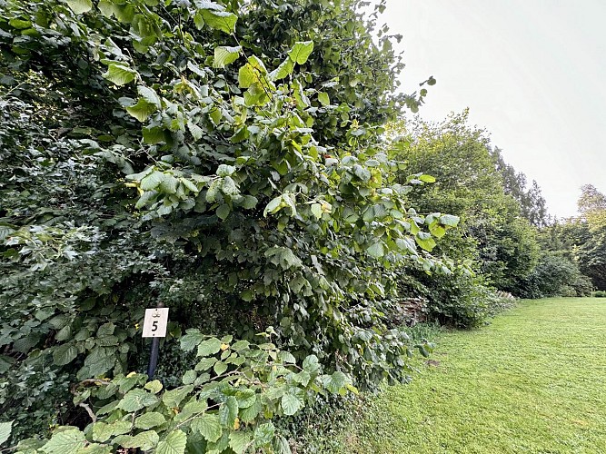 Circuit_des_sabotiers_©_MFSH_TEXTO_Pascal_Willems_(23)