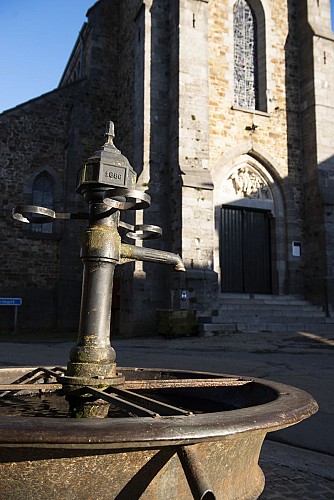 Awenne©dbcreation-MTFSH (12)