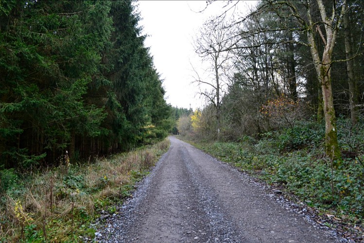 Wery variante OT Wellin