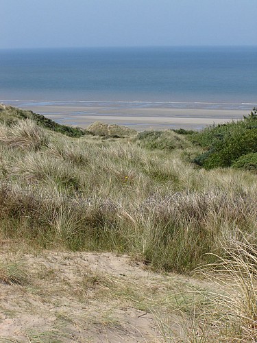 Site naturel d'Ecault : le sentier des Dunes