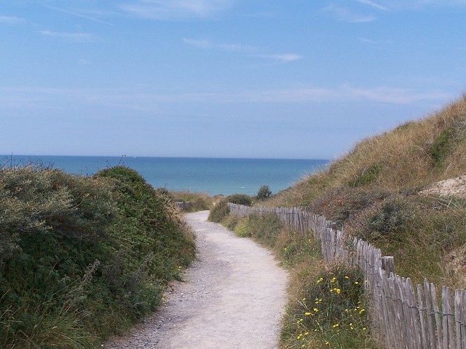 Site naturel d'Ecault : le sentier des Dunes