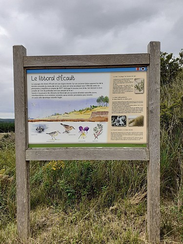 Site naturel d'Ecault : le sentier des Dunes