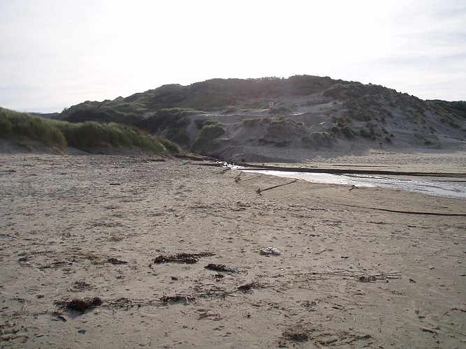 Site naturel d'Ecault : le sentier des Dunes