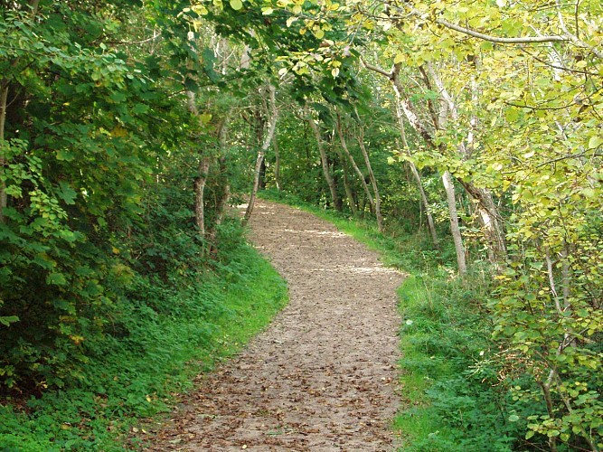 Site naturel d'Ecault : le sentier des Dunes