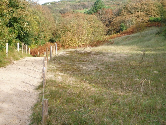 Site naturel d'Ecault : le sentier des Dunes