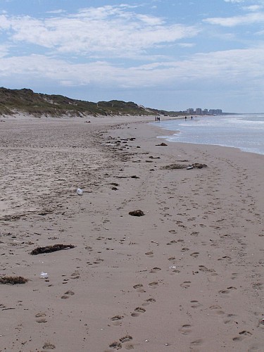 Site naturel d'Ecault : le sentier du Pré Catelan