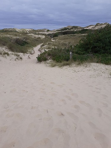 Site naturel d'Ecault : le sentier du Pré Catelan