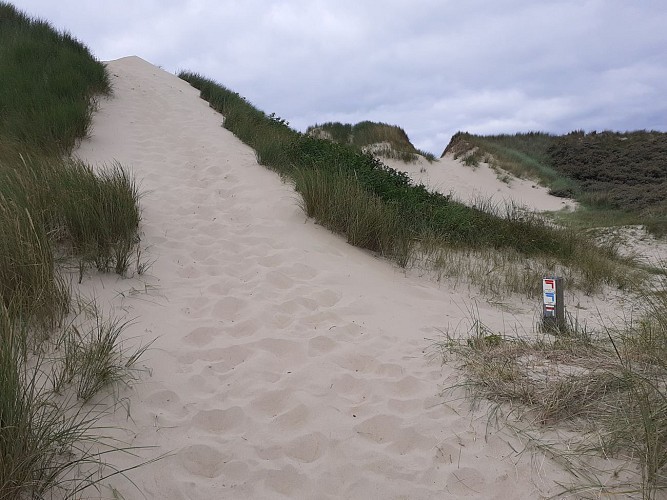 Site naturel d'Ecault : le sentier du Pré Catelan