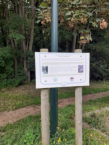 Site naturel d'Ecault : le sentier du Pré Catelan