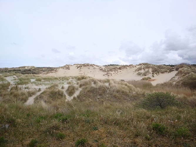 Site naturel d'Ecault : le sentier du Pré Catelan