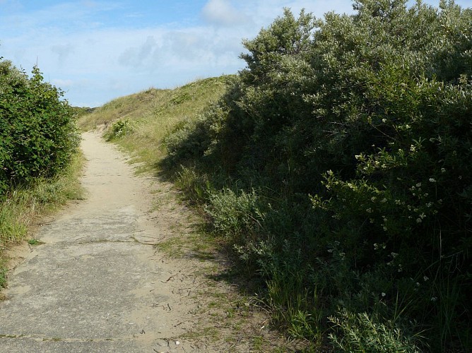 Site naturel d'Ecault : le sentier du Pré Catelan