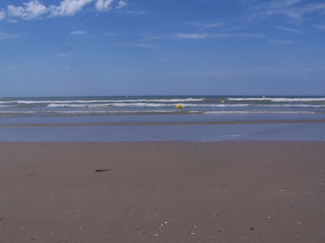Site naturel d'Ecault : le sentier du Pré Catelan