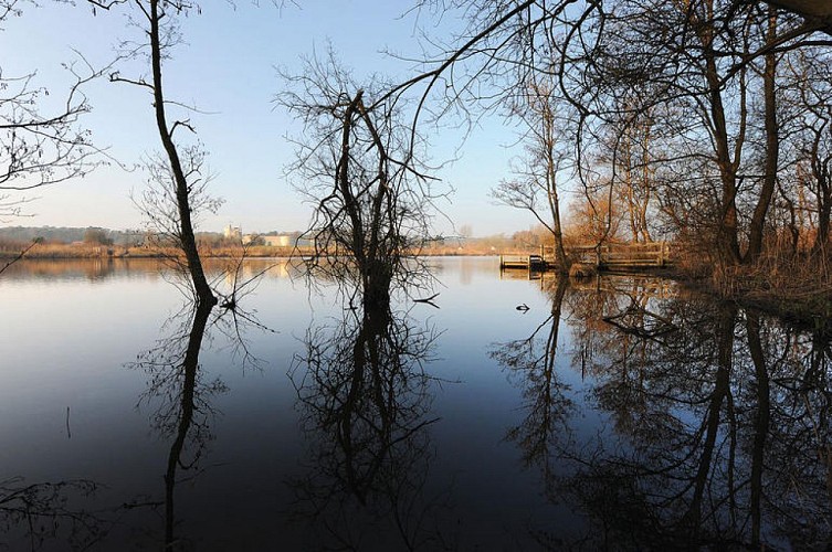 Site naturel d'Ecault : le sentier des Etangs - ATTENTION SENTIER ACCESSIBLE EN BOTTES !