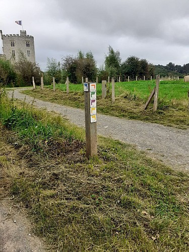 Site naturel d'Ecault : le sentier des Etangs - ATTENTION SENTIER ACCESSIBLE EN BOTTES !
