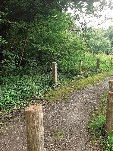 Site naturel d'Ecault : le sentier des Etangs - ATTENTION SENTIER ACCESSIBLE EN BOTTES !