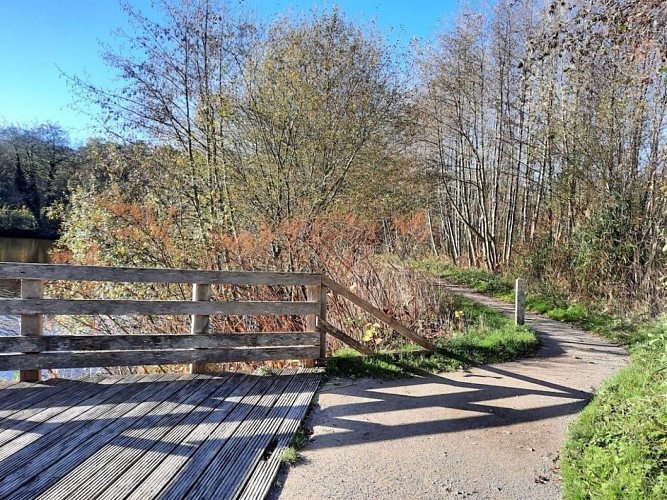 Site naturel d'Ecault : le sentier du Marais