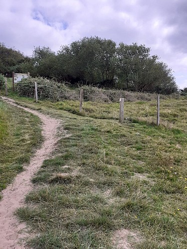 Site naturel d'Ecault : le sentier du Communal d'Ecault