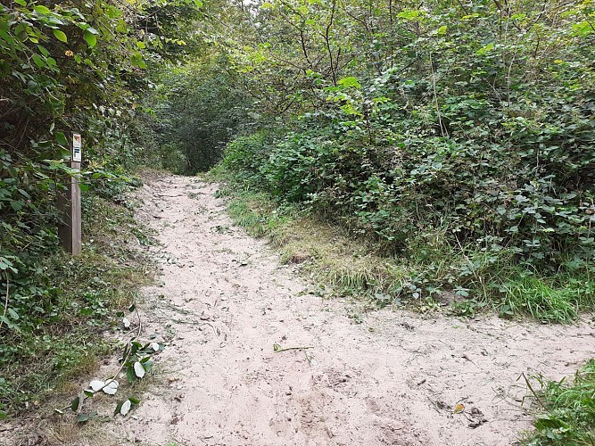 Site naturel d'Ecault : le sentier du Communal d'Ecault