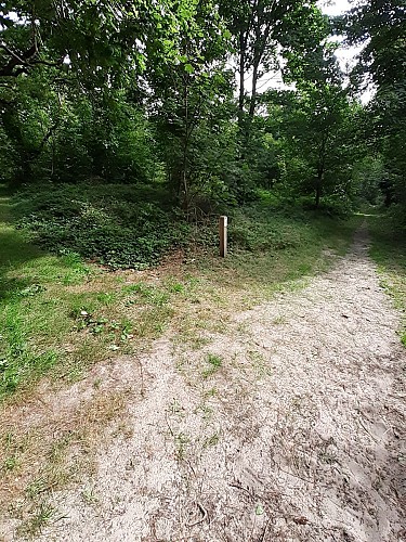 Site naturel d'Ecault : le sentier du Communal d'Ecault