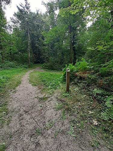 Site naturel d'Ecault : le sentier du Communal d'Ecault
