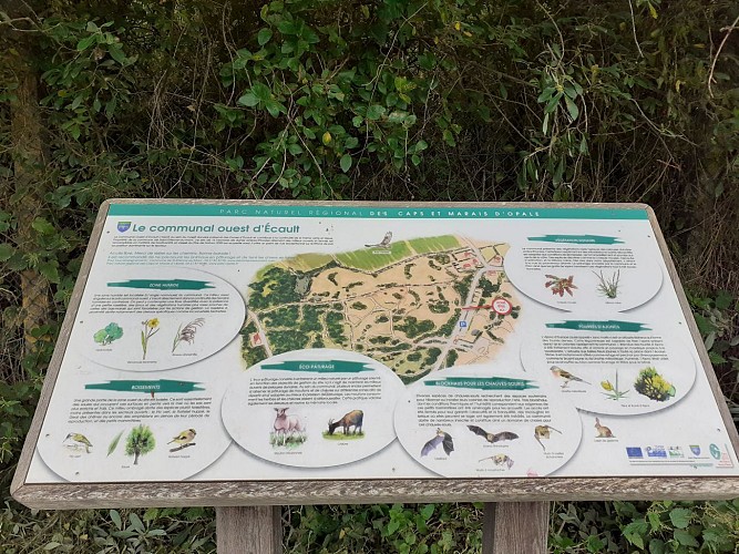 Site naturel d'Ecault : le sentier d'Aréna