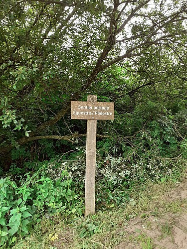 Site naturel d'Ecault : le sentier d'Aréna