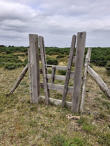 Site naturel d'Ecault : le sentier d'Aréna