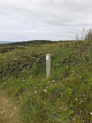 Site naturel d'Ecault : le sentier d'Aréna