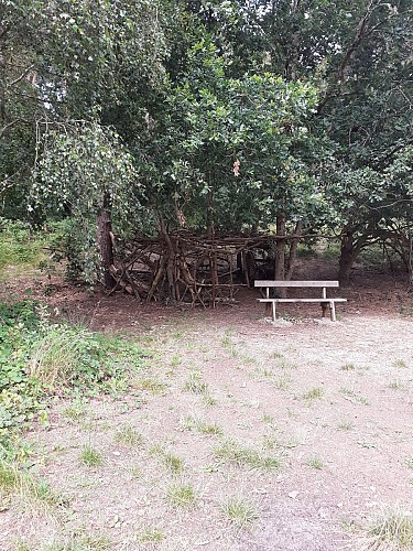 Site naturel d'Ecault : le sentier des Grands Pins