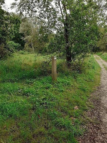 Site naturel d'Ecault : le sentier du Mont Café