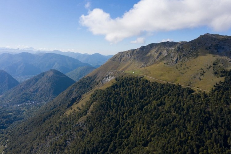 col de mente @marcbarbaruesco